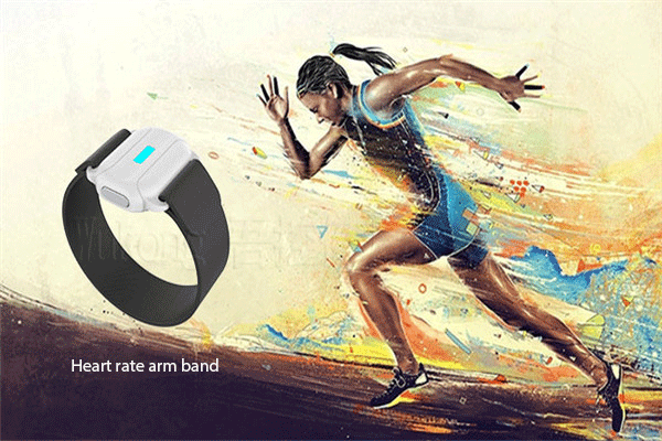 Heart rate armband for efficient and safe exercise training